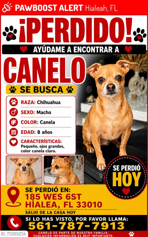 Lost Male Dog last seen Near wes 6ST Hialea FL 33010, Hialeah, FL 33010