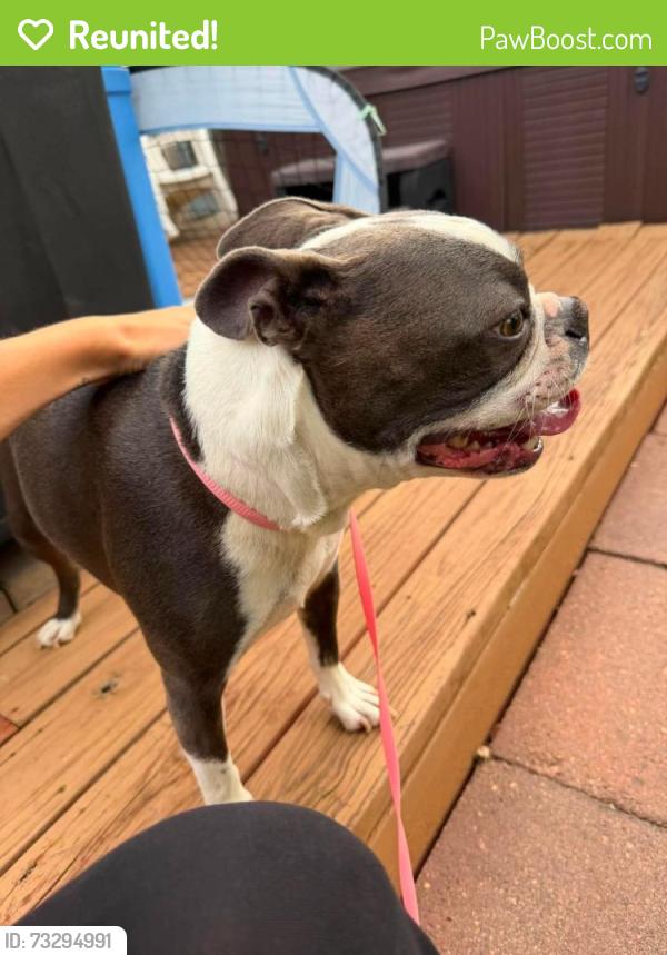 Reunited Male Dog last seen 133rd and Colorado Blvd, Thornton, CO 80241
