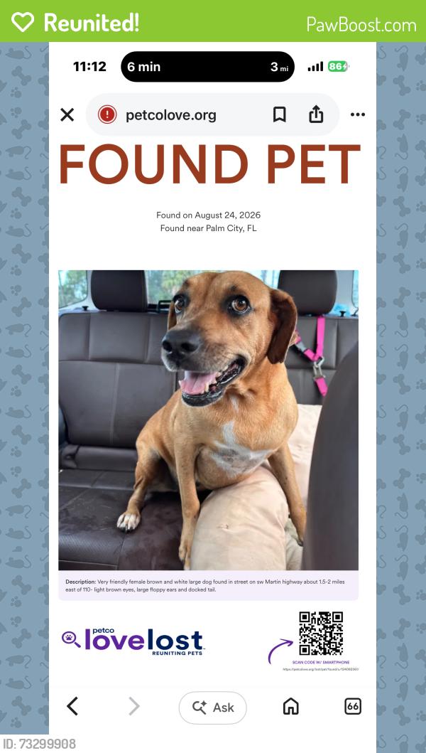 Reunited Female Dog last seen Sw Martin highway palm city Florida, Palm City, FL 34990
