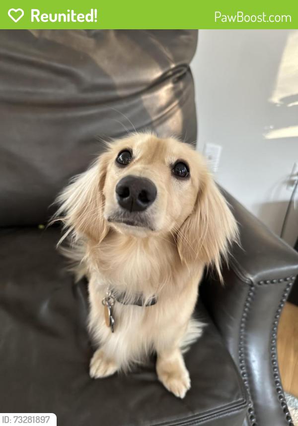 Reunited Male Dog last seen Glebe Dr and Loch Haven dr, Edgewater, MD 21037