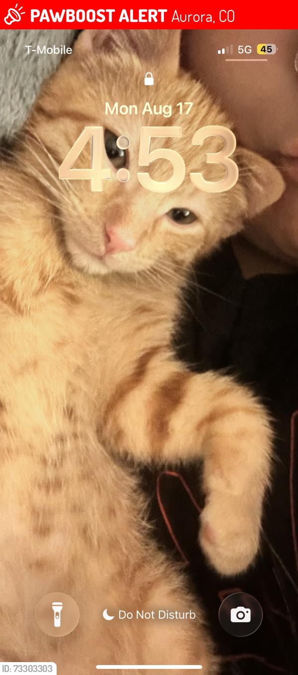 Lost Male Cat last seen 30th and sable, Aurora, CO 80011