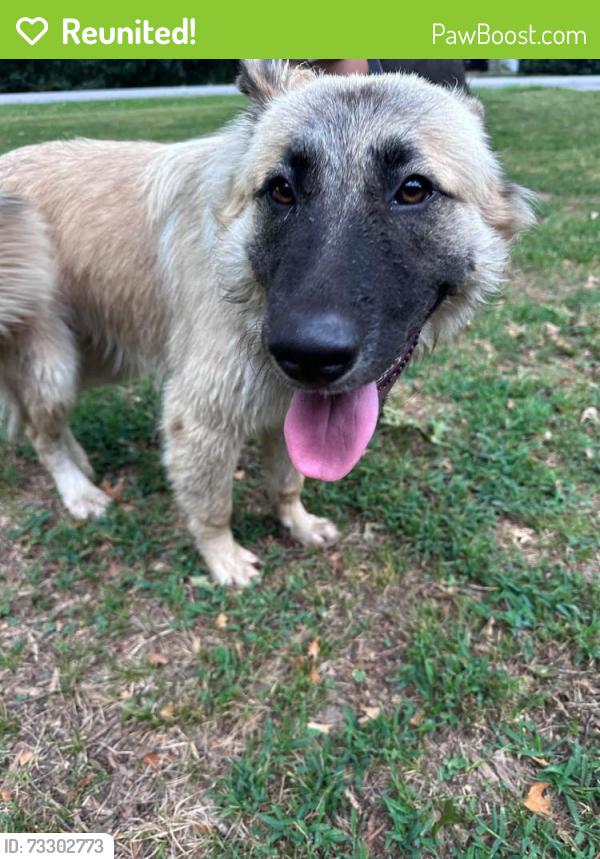 Reunited Female Dog last seen S 87th E Ave & 116, Bixby, OK 74008
