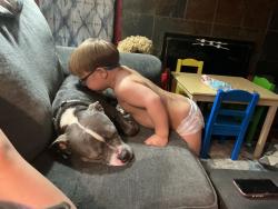 Reunited Male Dog last seen troy street & Leo street, Dayton, OH 45404