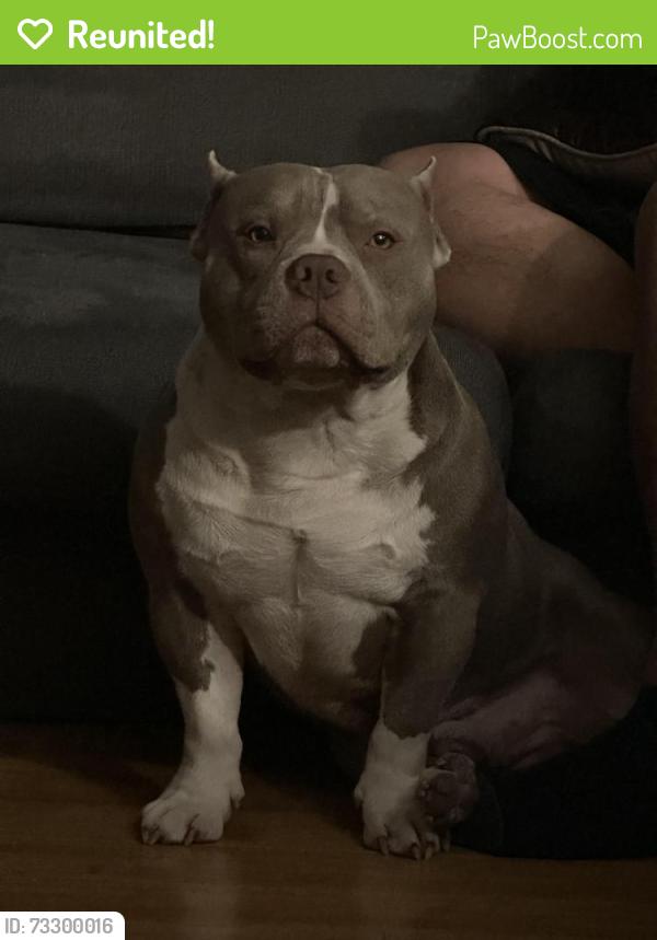 Reunited Male Dog last seen NC 27, Mire Branch, Ponderosa, Cameron, NC 28326