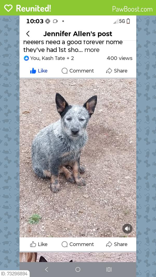 Reunited Female Dog last seen Near, Shawnee, OK 74804