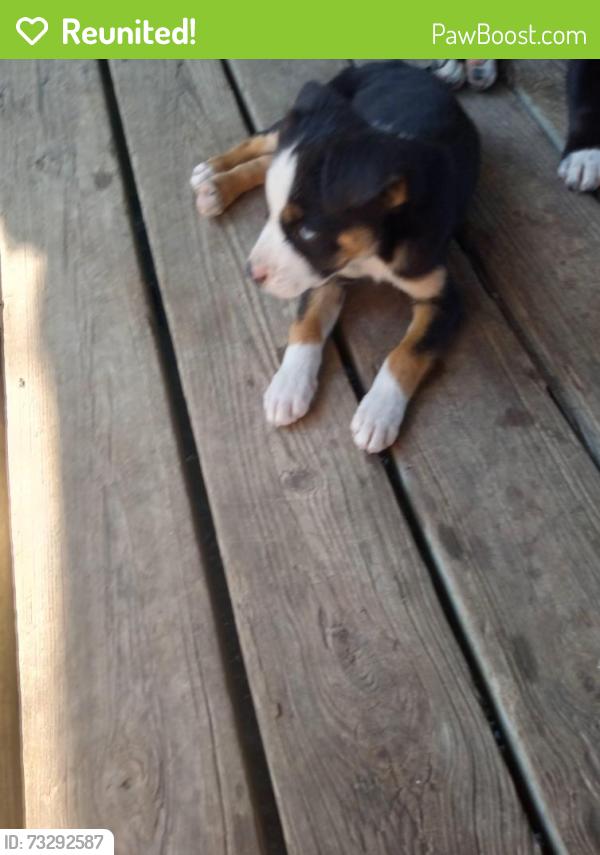 Reunited Male Dog last seen Near, Shawnee, OK 74804