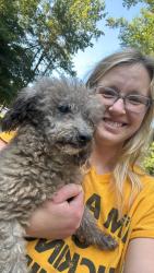 Reunited Male Dog last seen Campbell University, Boykin Road, Tysinger Road, Lillington, NC 27546