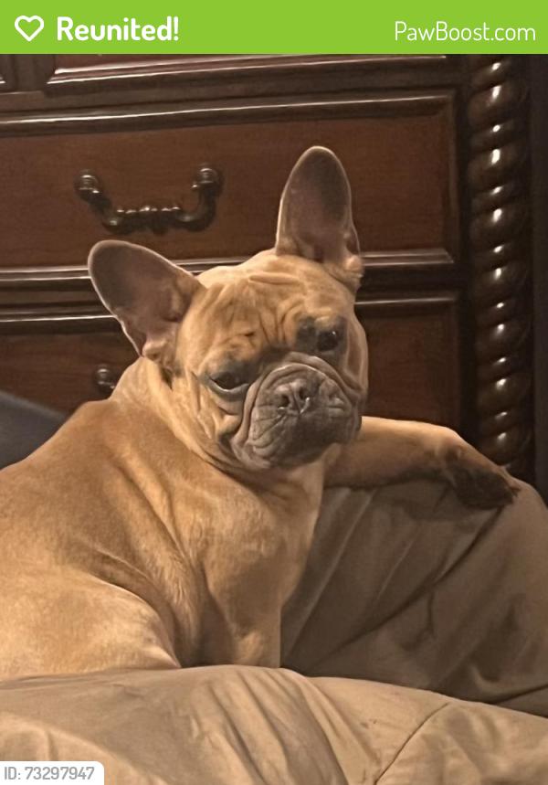 Reunited Female Dog last seen Near the bridge, Cooley Bridge Rd, SC 29669