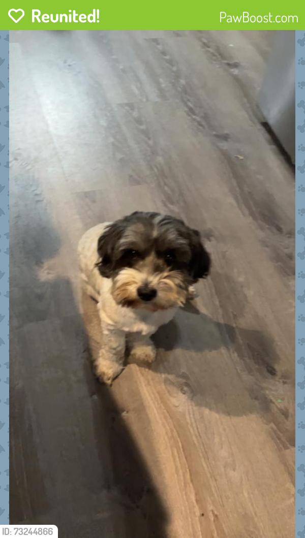 Reunited Male Dog last seen Eugene James Rd Tarboro, Pitt County, NC 27834