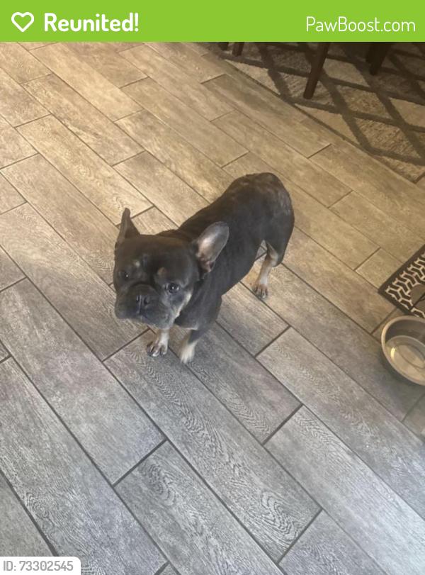 Reunited Male Dog last seen Chula Vista, CA 91910, USA, Chula Vista, CA 91910