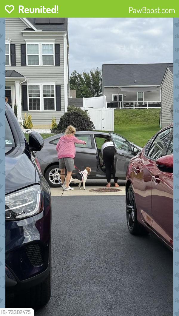 Reunited Female Dog last seen On side of 79 heading North right as you’re leaving Bridgeville, Bridgeville, PA 15017