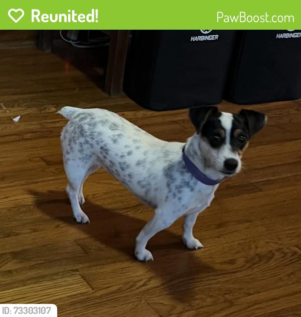 Reunited Female Dog last seen Richland, Baton Rouge, LA 70806