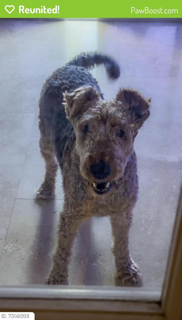 Reunited Male Dog last seen Miami 33144, Miami, FL 33144