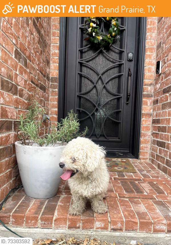 Found/Stray Male Dog last seen Lakeridge and Matthew, Grand Prairie, TX 75052