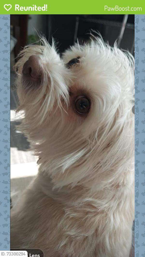 Reunited Female Dog last seen Glenda st, Bedford, TX 76022