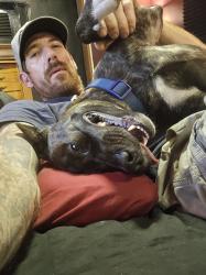 Reunited Male Dog last seen Philotowzki Eye Institute, Beville Road, S.Daytona, Daytona Beach, FL 32119
