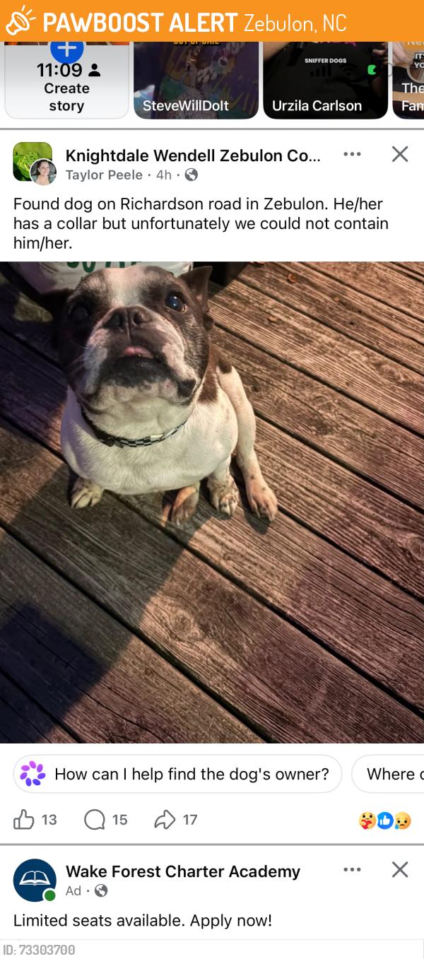 Found/Stray Unknown Dog last seen Knightsame, Zebulon, NC 27597