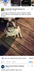 Found/Stray Unknown Dog last seen Knightsame, Zebulon, NC 27597