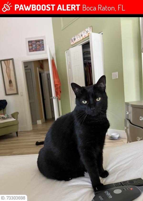 Lost Female Cat last seen Timbercreek Circle Boca Rato, Boca Raton, FL 33431