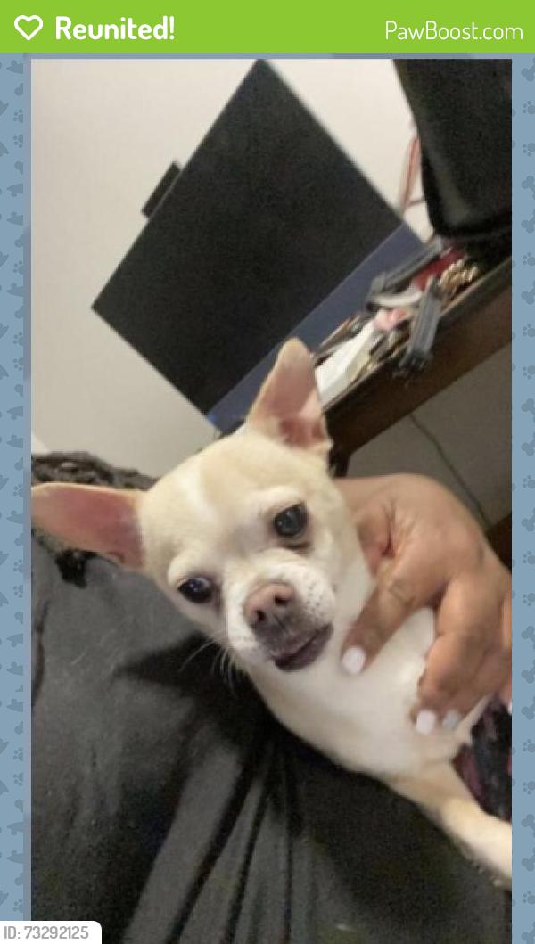 Reunited Male Dog last seen Salem Springs, Winston-Salem, NC 27107