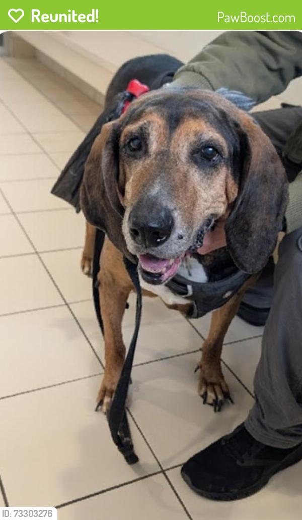 Reunited Male Dog last seen West 63rd St and storer ave 44102, Cleveland, OH 44144