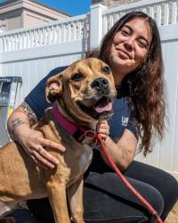 Shelter Stray Female Dog last seen , , GA, 3280 Chamblee Dunwoody Rd, Chamblee, GA 30341, USA