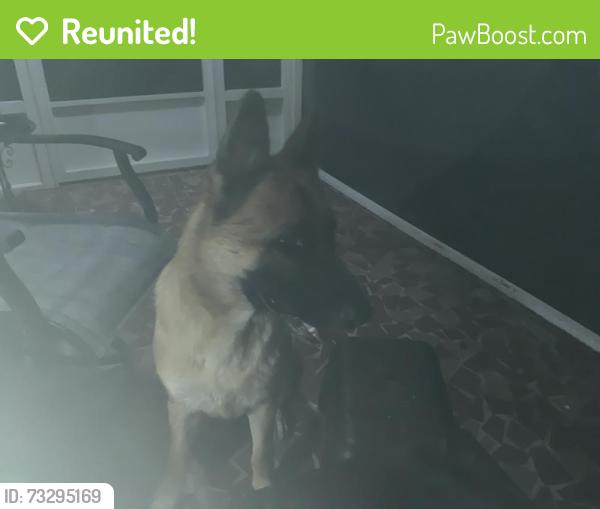 Reunited Female Dog last seen 6th street Holly Hill Florida, Holly Hill, FL 32117
