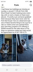 Lost Male Dog last seen Harris road and walker loop, Adamsville, TN 38310