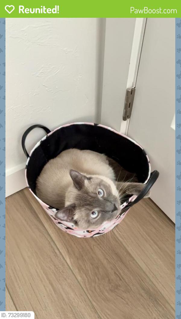 Reunited Male Cat last seen Reno Ave and Sara Rd, Oklahoma City, OK 73127
