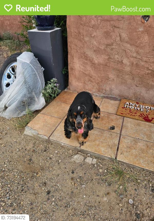 Reunited Male Dog last seen Bernalillo, New Mexico, Bernalillo, NM 87004