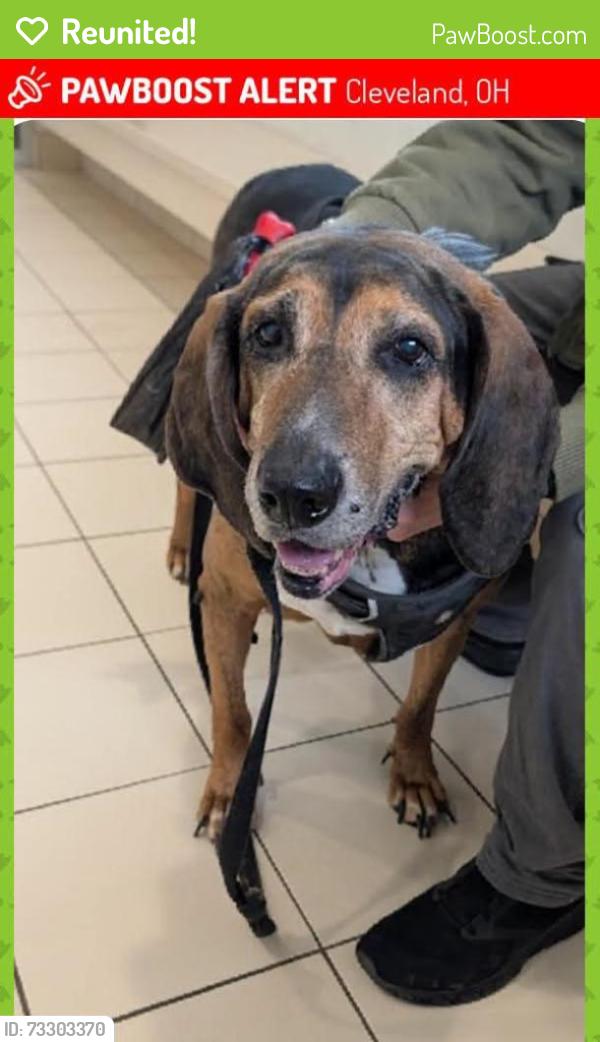 Reunited Male Dog last seen West 63rd St and storer ave, Cleveland, OH 44144