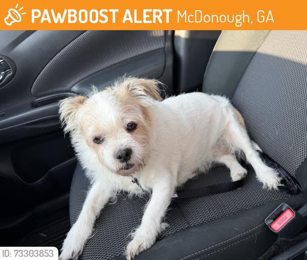 Found/Stray Female Dog last seen Colton Creek apmts, McDonough, GA 30253