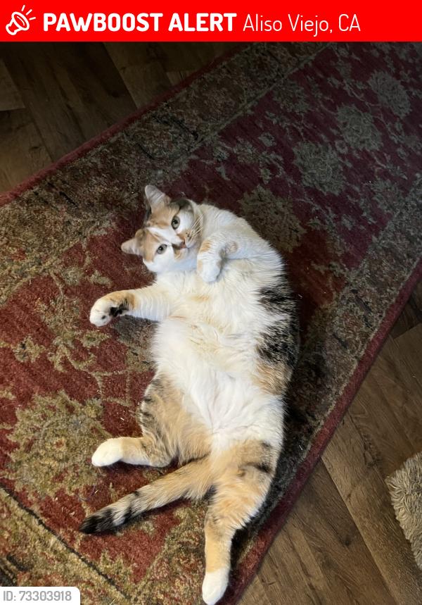 Lost Female Cat last seen Alicia and Hollyoak, Aliso Viejo, CA 92656