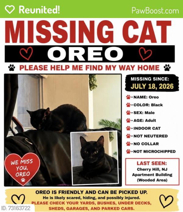 Reunited Male Cat last seen The Grand Cherry Hill apmts, Cherry Hill Township, NJ 08034