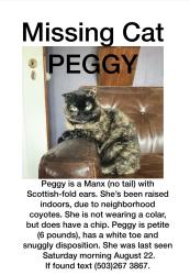 Reunited Female Cat last seen 10th and bush, Portland, OR 97202