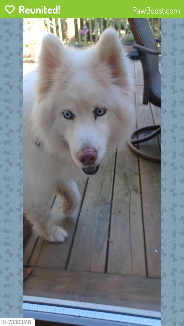 Reunited Unknown Dog last seen In Allatoona Ridge neighborhood off Copper head road, Acworth, GA 30102