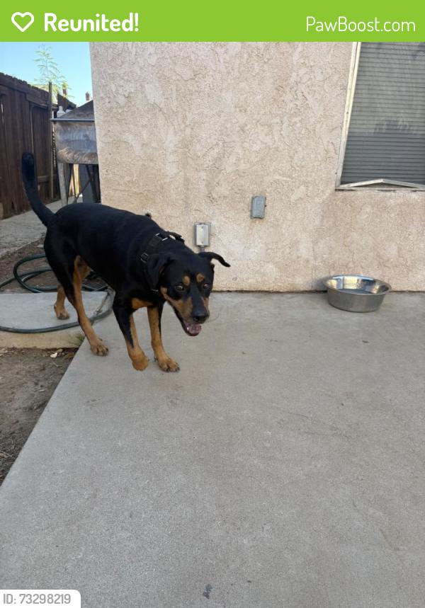 Reunited Male Dog last seen Centerpoint Dr, Moreno Valley, CA 92553, USA, Moreno Valley, CA 92553