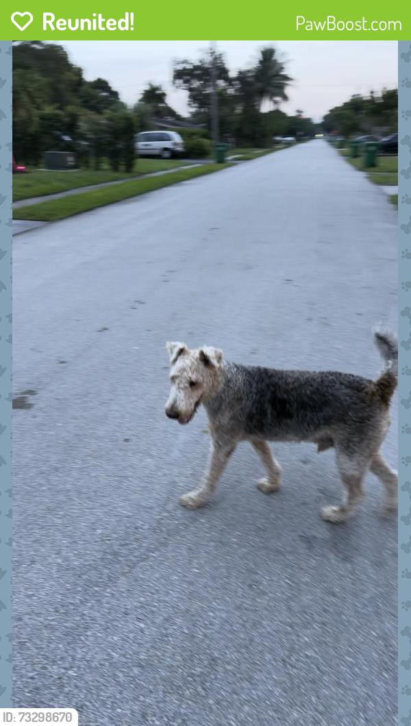 Reunited Male Dog last seen Island dr, Miramar, FL 33023