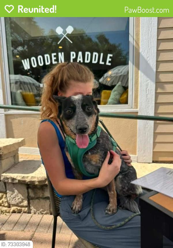 Reunited Female Dog last seen St Charles Illinois, St. Charles, IL 60174