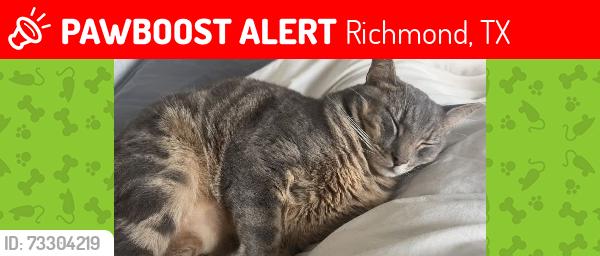 Lost Male Cat last seen Garden river, Richmond, TX 77406