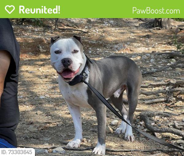 Reunited Male Dog last seen Killian dr west tawakoni, West Tawakoni, TX 75474