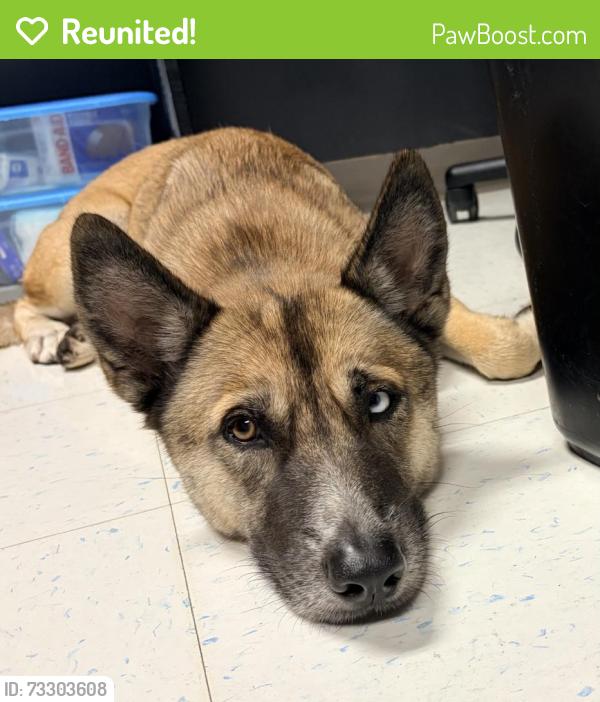 Reunited Female Dog last seen Near SW 54th Ave, Plantation, FL 33317, USA, Plantation, FL 33317