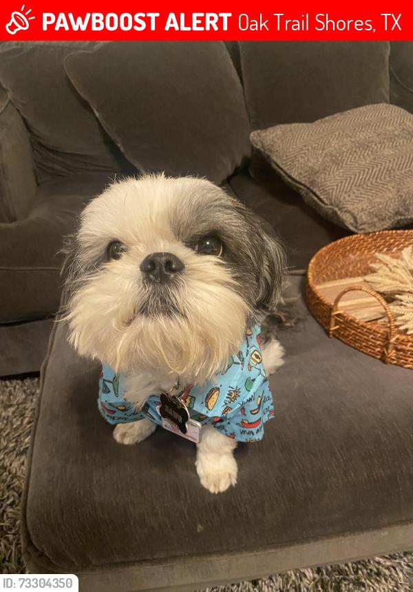 Lost Male Dog last seen Oak trail shores, Oak Trail Shores, TX 76048