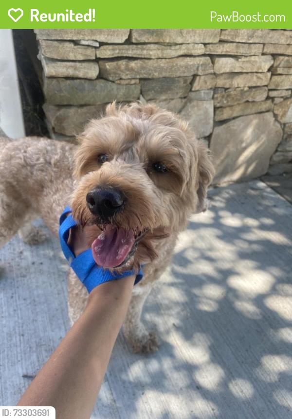 Reunited Male Dog last seen roosevelt and e penn st, Long Beach, NY 11561