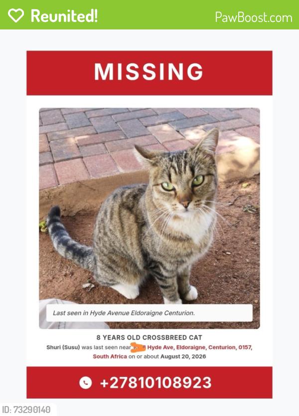 Reunited Female Cat last seen Teresa road, Centurion, GP 0157