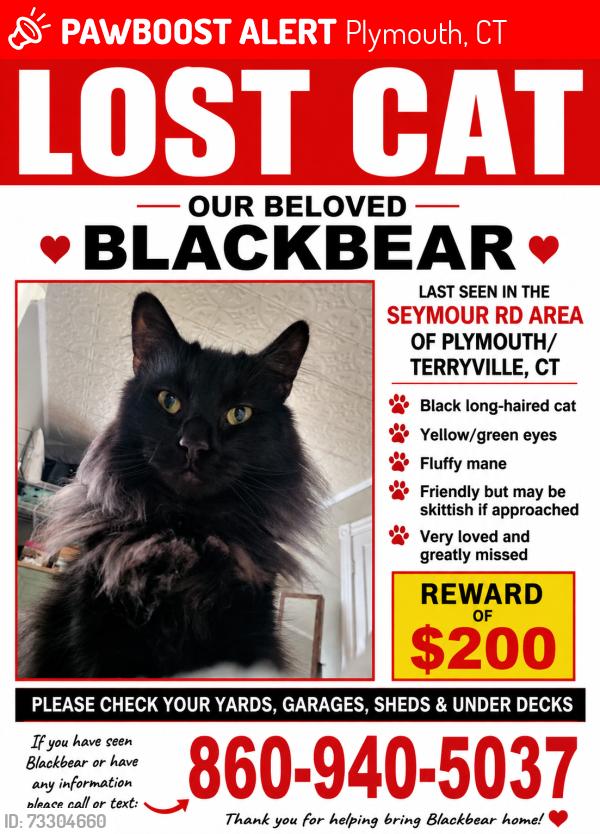 Lost Male Cat last seen Lake winfield, Plymouth, CT 06786