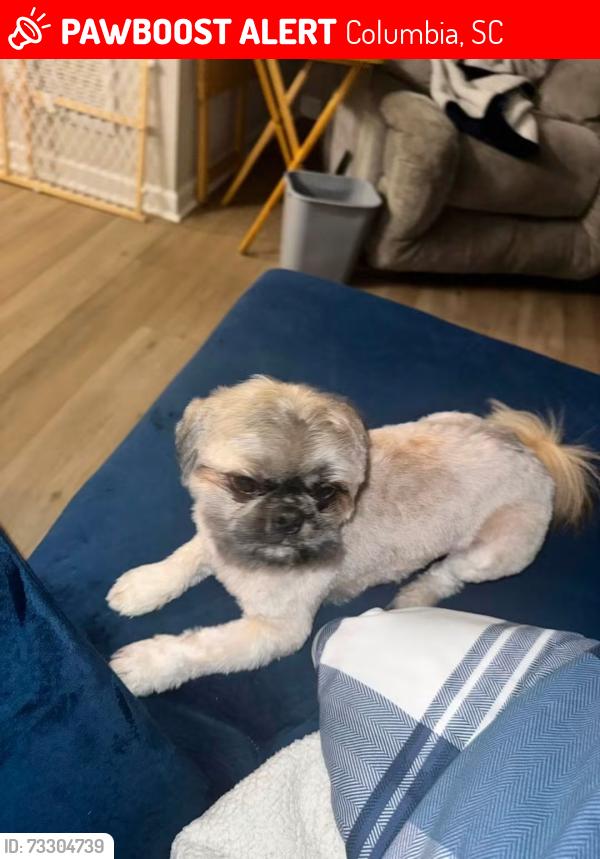 Lost Male Dog last seen Near Sand Pine Circle, Columbia, SC 29229