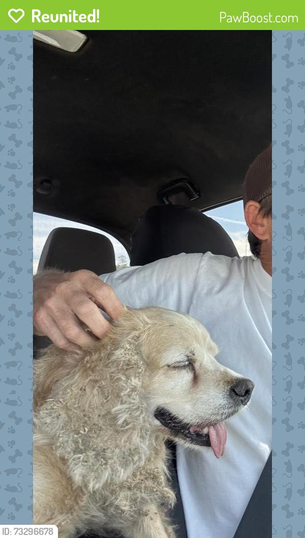 Reunited Male Dog last seen Peppermint Creek and Rawhide Rd, Jamestown, CA 95370