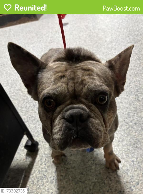 Reunited Unknown Dog last seen Port St. Lucie, Port St. Lucie, FL 34986