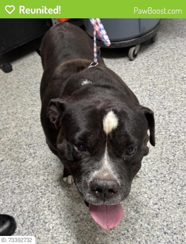 Reunited Unknown Dog last seen Port St. Lucie, Port St. Lucie, FL 34986